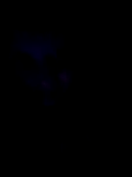 Sonja200 online show from January 8, 2026, 12:13 am