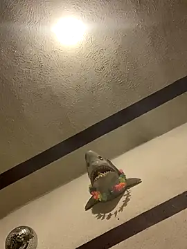 luis-pipo online show from January 8, 2026, 10:39 am