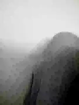 Scook Gray  online show from April 8, 2026, 6:08 pm