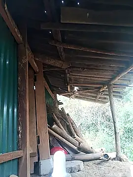 feli-00 online show from January 10, 2026, 2:02 am