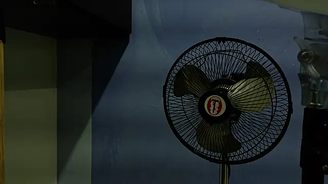 yvi taylor online show from April 13, 2026, 12:21 pm