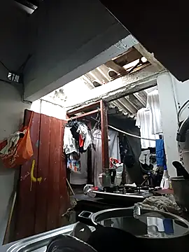 PatriciaGrajales online show from March 15, 2026, 4:02 pm