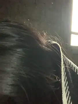 Naalyy online show from March 13, 2026, 3:24 am