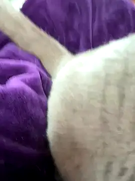 cdfemnaty online show from January 9, 2026, 10:07 am