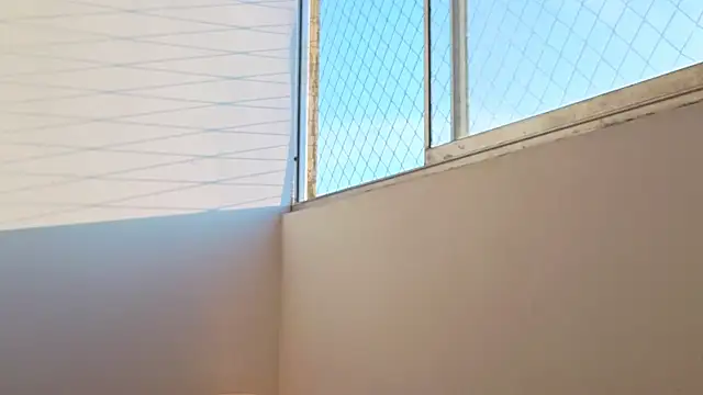 joelcallvil1 online show from January 17, 2026, 11:59 am