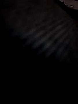 Boy4youuu online show from March 29, 2026, 9:15 pm