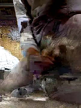 ifuckforreal online show from February 6, 2026, 5:16 pm