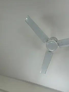 Cutenikkibaby online show from February 23, 2026, 6:33 am