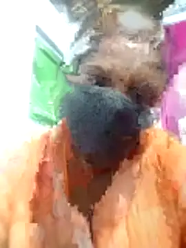 tamilvenila online show from January 15, 2026, 4:44 pm