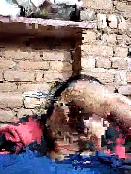 Hot di97 online show from February 14, 2026, 8:38 pm