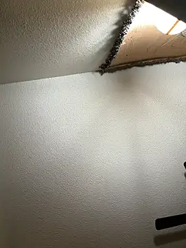 Snapshot of JoeyBlazy chatting on January 12, 2026, 1:00 am JoeyBlazy online show from January 12, 2026, 1:00 am