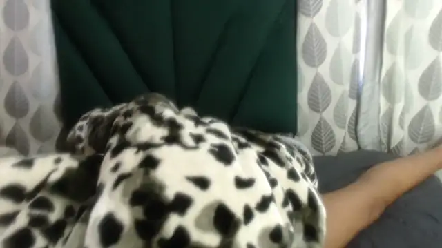 Nellybba online show from March 27, 2026, 5:46 am