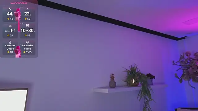 Dakota velvet  online show from February 5, 2026, 11:37 am