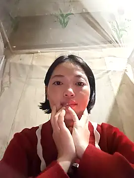 kotaka-shoow online show from February 12, 2026, 8:20 am