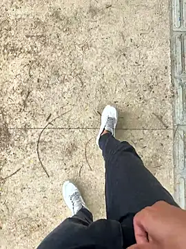 Novinho Pauzudo 18cm online show from February 24, 2026, 3:43 pm