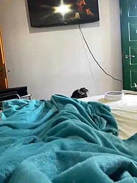 Cofla21cmm online show from January 17, 2026, 2:33 pm