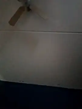 dewimp1 online show from February 1, 2026, 10:14 am