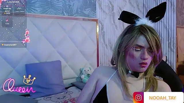 Snapshot of NOOAH_TAY chatting on February 3, 2026, 6:40 am NOOAH TAY online show from February 3, 2026, 6:40 am