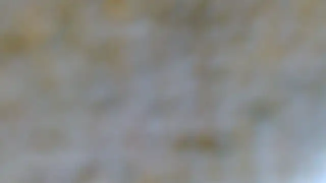 Snapshot of EVAN_TAY chatting on February 7, 2026, 7:17 pm EVAN TAY online show from February 7, 2026, 7:17 pm