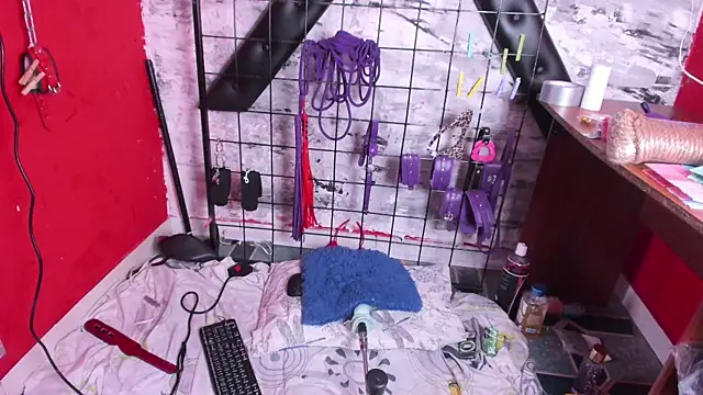 Charlotte Bms7 online show from February 27, 2026, 7:52 am