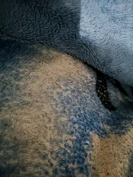 dollpum online show from March 4, 2026, 9:54 pm