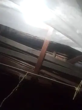 degeneradicto online show from February 15, 2026, 5:04 am