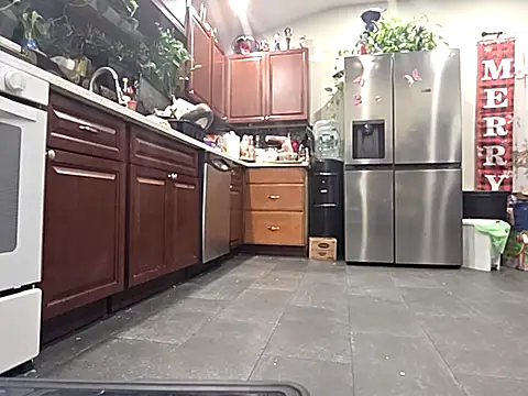 bischo666 online show from February 24, 2026, 2:20 am