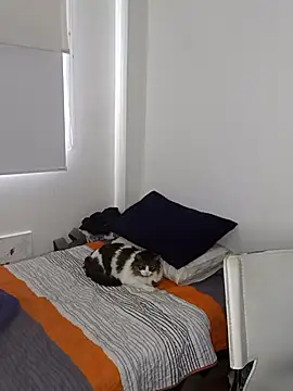 Snapshot of Nikolth_4 chatting on February 4, 2026, 3:18 pm Nikolth 4 online show from February 4, 2026, 3:18 pm