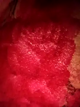 mehedi hot online show from February 24, 2026, 5:22 pm