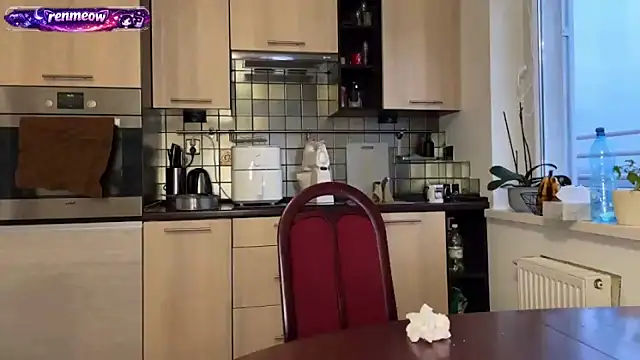 Snapshot of RenMeow chatting on February 17, 2026, 4:13 pm RenMeow online show from February 17, 2026, 4:13 pm