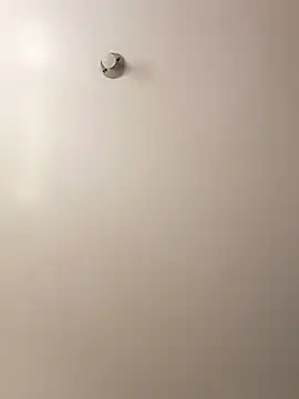 Cati cat3 online show from February 7, 2026, 4:43 pm