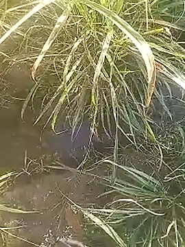 Snapshot of Cute_Boy_4 chatting on February 27, 2026, 2:44 am Cute Boy 4 online show from February 27, 2026, 2:44 am