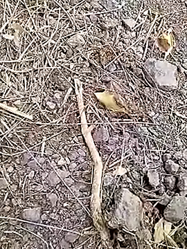 Cute Boy 4 online show from April 7, 2026, 7:31 am