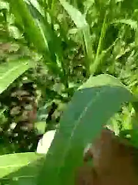 Snapshot of Cute_Boy_4 chatting on April 23, 2026, 5:19 am Cute Boy 4 online show from April 23, 2026, 5:19 am
