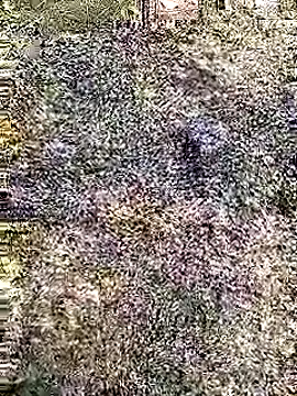 Snapshot of Cute_Boy_4 chatting on April 29, 2026, 7:23 am Cute Boy 4 online show from April 29, 2026, 7:23 am
