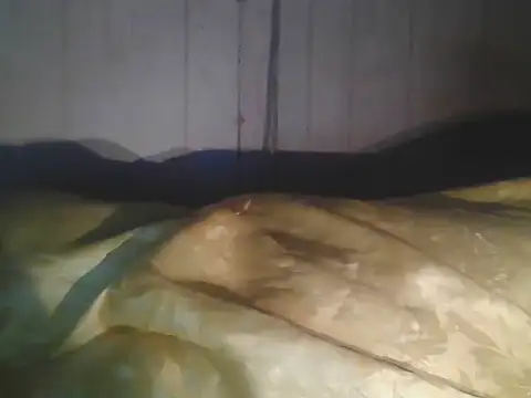 Prikev38452 online show from April 11, 2026, 7:45 am