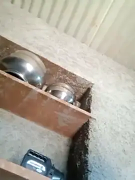 Lucky couple-1 online show from February 14, 2026, 8:55 am