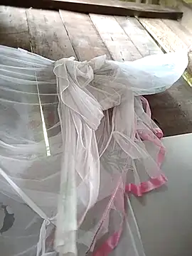 Domita cool online show from April 16, 2026, 6:47 am