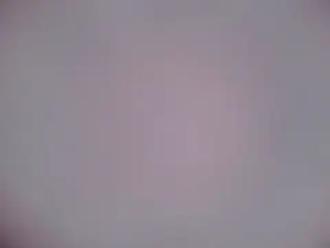 Luanatrav1 online show from February 21, 2026, 7:31 am