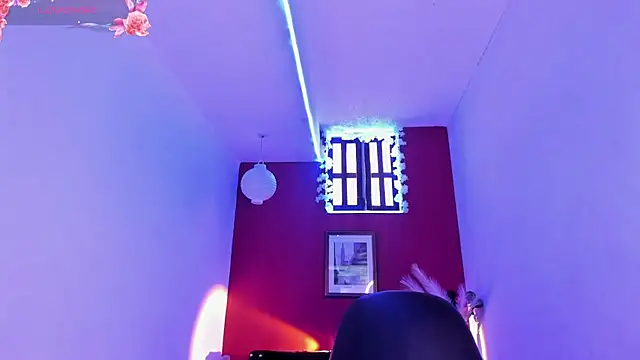 paula lopez   online show from February 11, 2026, 7:41 pm