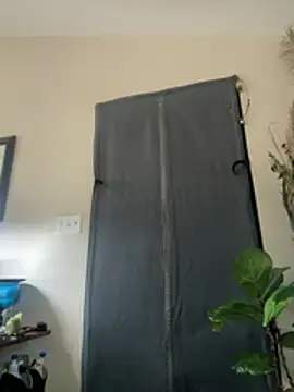 SwordStallionVibes online show from February 19, 2026, 4:36 pm