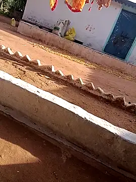 Hot ree64 online show from April 12, 2026, 2:16 am