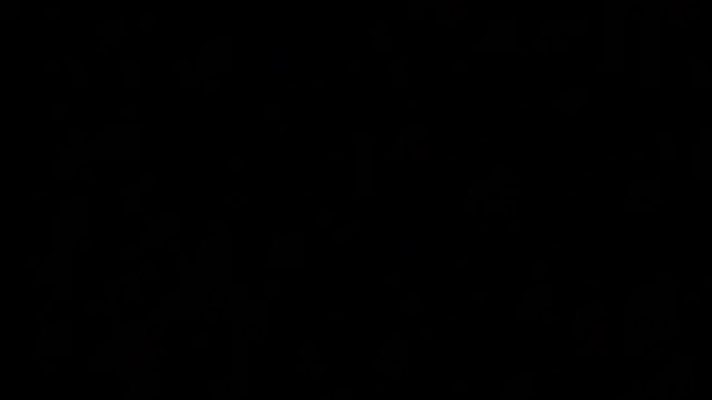 dixiedevin online show from April 22, 2026, 10:50 am