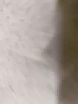 chennai sexyboy online show from February 8, 2026, 4:32 pm