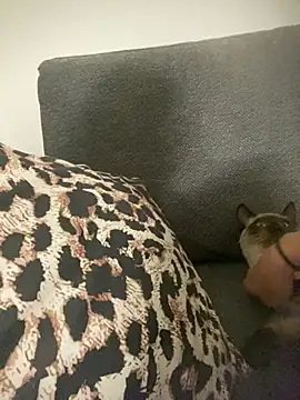 little dreamer  online show from March 9, 2026, 7:18 pm