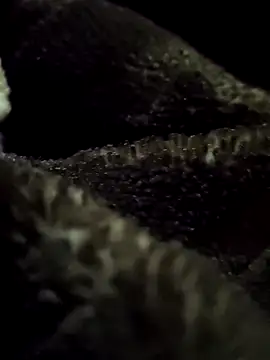 Snapshot of aryanvfit chatting on February 9, 2026, 6:01 pm aryanvfit online show from February 9, 2026, 6:01 pm