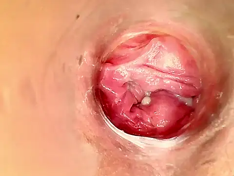 karol kane online show from February 11, 2026, 3:17 pm