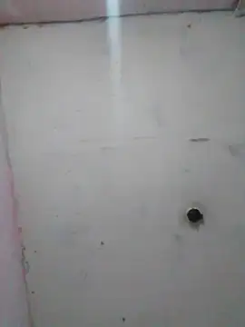 cobrosdepagos online show from February 19, 2026, 1:56 am