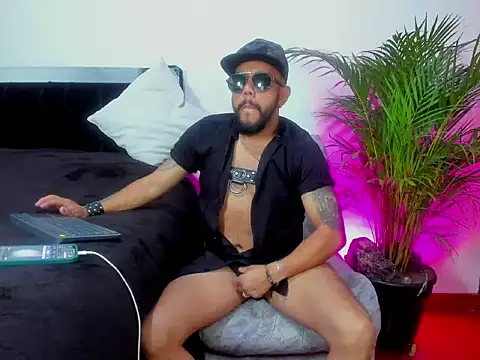 King bear 25 online show from March 2, 2026, 3:41 am