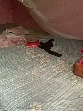 baeas-lan online show from April 21, 2026, 2:04 am